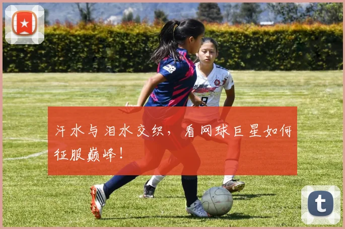 汗水与泪水交织，看网球巨星如何征服巅峰！