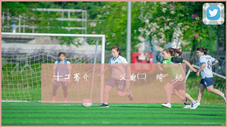 鍊╁コ骞介瓊鎵嬫父瀹㈡埛绔笅杞�